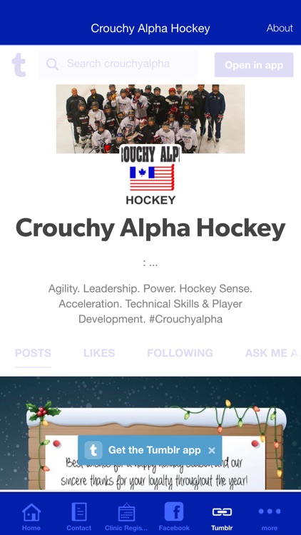 Crouchy Alpha Hockey