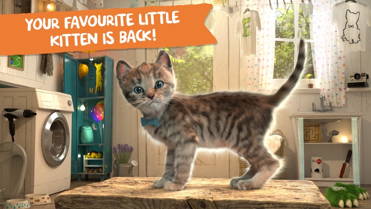 Little Kitten Adventures screenshot-0
