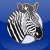 Zebra Oldies