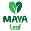 Stevia Mayaleaf