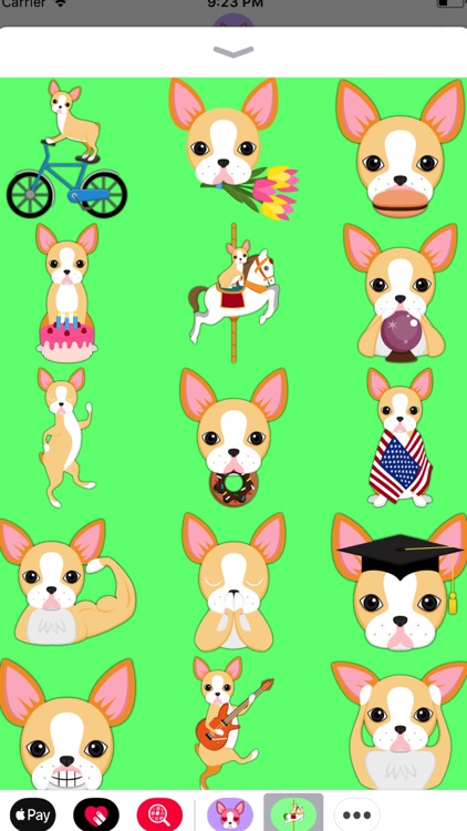 Blonde Boston Terrier screenshot-4