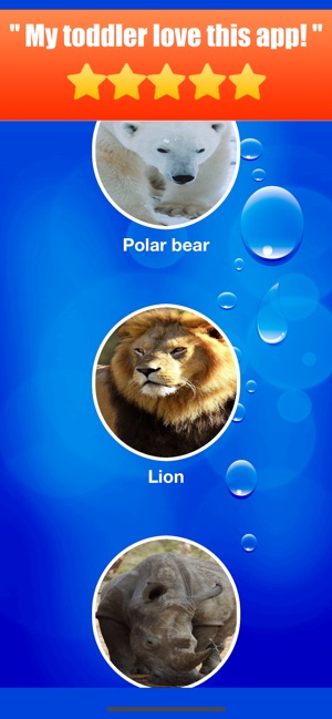 Animal sounds & Chatter Noises(圖3)-速報App