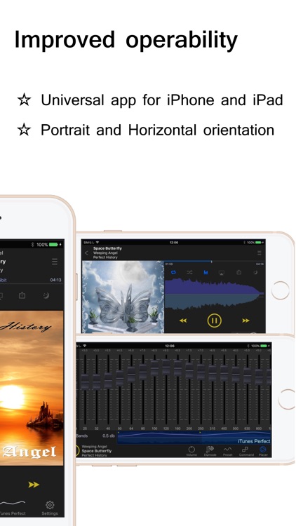 MyuRa HiRes Audio Player screenshot-4