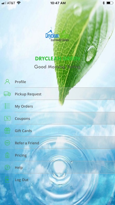 Dryclean Green screenshot 2