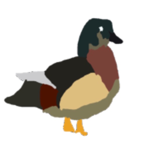 Wood Duck Simulator Icon