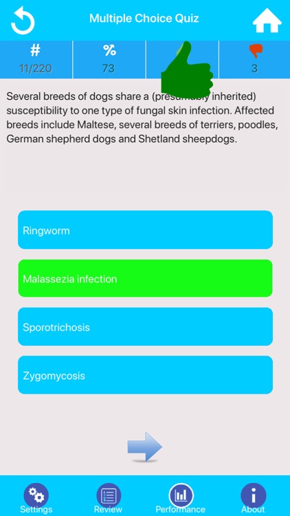 Veterinary Medicine Practice