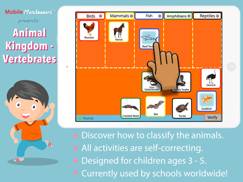 Animal Kingdom (Vertebrates) - náhled