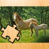 馬仔馬やポニーとの冒険のパズルゲーム:楽しく学ぶための無料の子供のゲーム