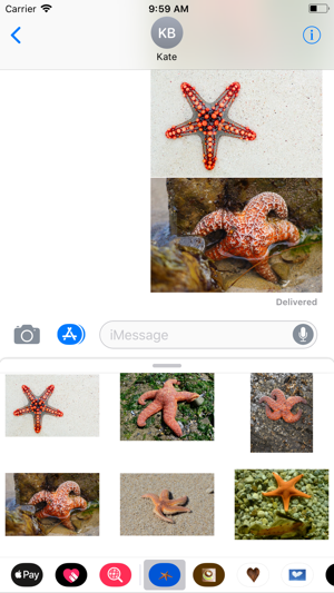 Starfish Sticker Pack(圖7)-速報App