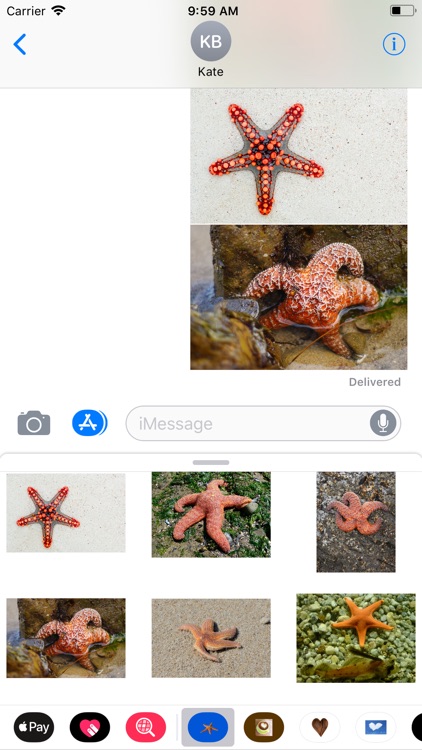 Starfish Sticker Pack screenshot-6