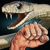 Money or Death - snake attack!