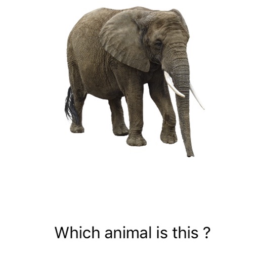 Animal Quiz!  - APP FOR KIDS