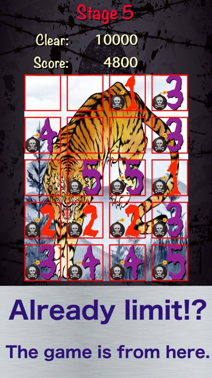 Count Down 5 Bomber Plus