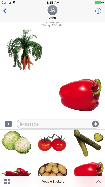 Fun Veggie Stickers