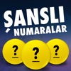 Şanslı Numaralar Loto