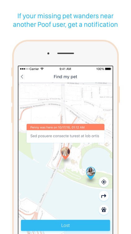 Poof - Activity monitor and tracker for pets