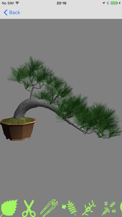 Bonsai Master screenshot-0