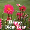 Amazing New Year Greetings
