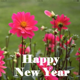 Amazing New Year Greetings