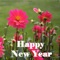 Amazing New Year Greeting Card is a fastest way to share New Year e Cards