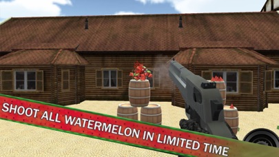 Watermelon Shooting Expert screenshot 3