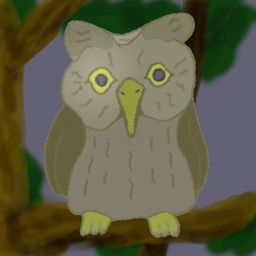 Camera of Owl's Eye