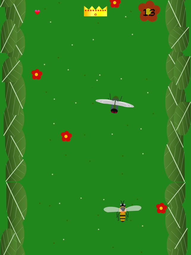 Bee vs Fly, game for IOS