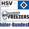 Herzlich Willkommen beim Eishockeyteam der HSV / Young Freezers Schüler Bundesliga Mannschaft