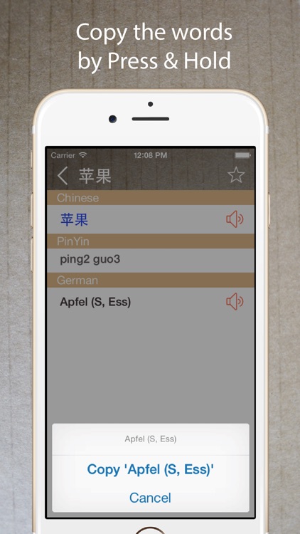 Chinese German Dictionary 中德字典 screenshot-3
