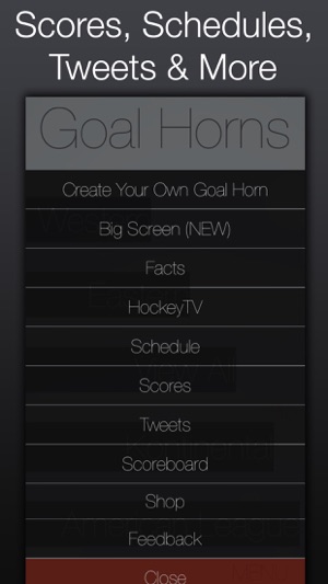 Hockey Goal Horns(圖5)-速報App