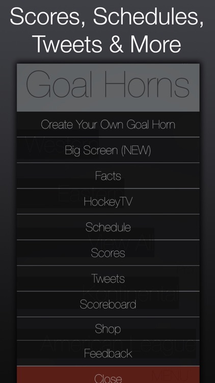 Hockey Goal Horns screenshot-4