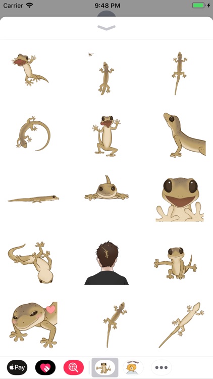 Gecko Animated Stickers