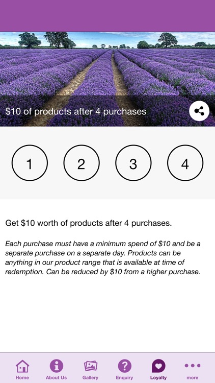 Australian Lavender Essentials