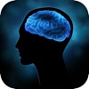 The Brain:Memory Training