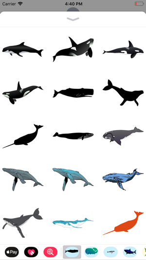 Real Whale Stickers(圖1)-速報App