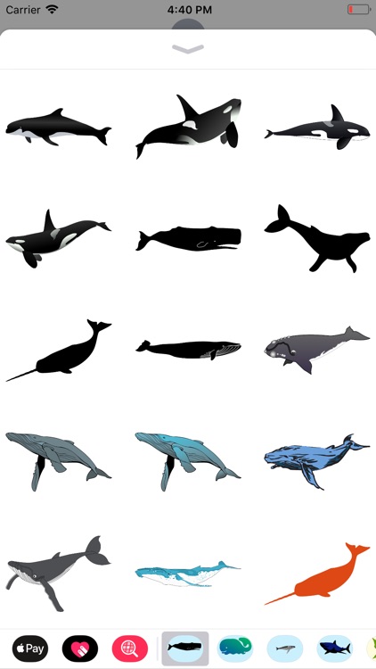 Real Whale Stickers