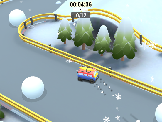 Best Rally для iPad