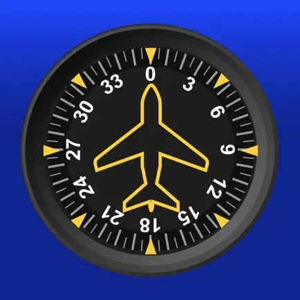 In-Flight Instruments Читы