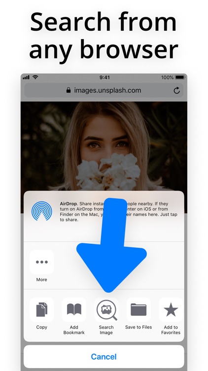 Search by Image Extension