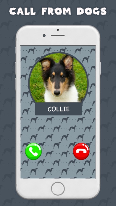 Call From Puppy Dog screenshot 3