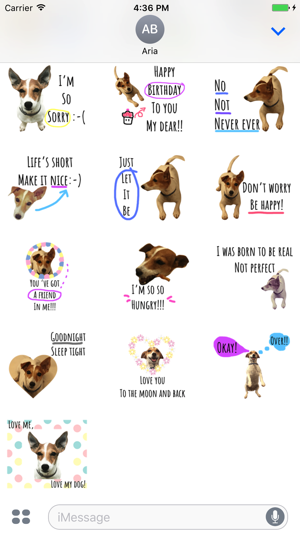 Chat With Jack Russell Dog(圖3)-速報App