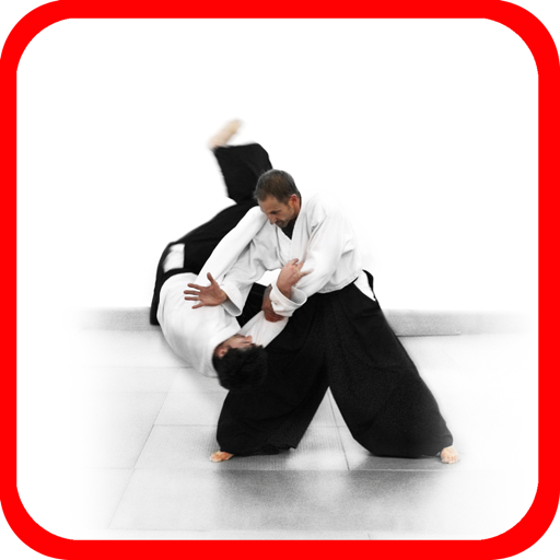 Simplified! Aikido icon