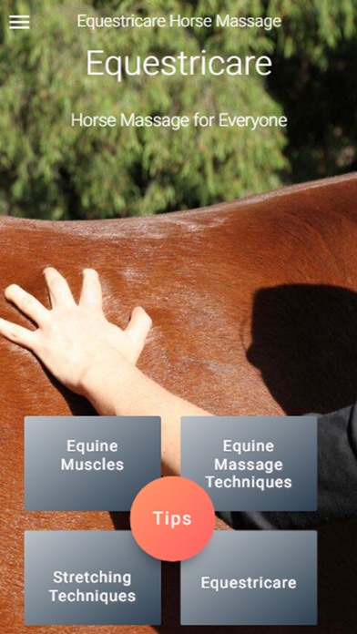 Equestricare Horse Massage screenshot 2