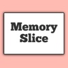 Memory Slice