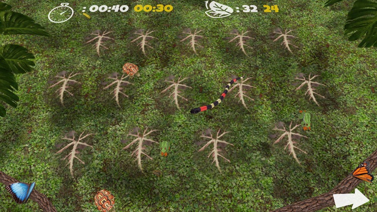 Critter Match screenshot-3