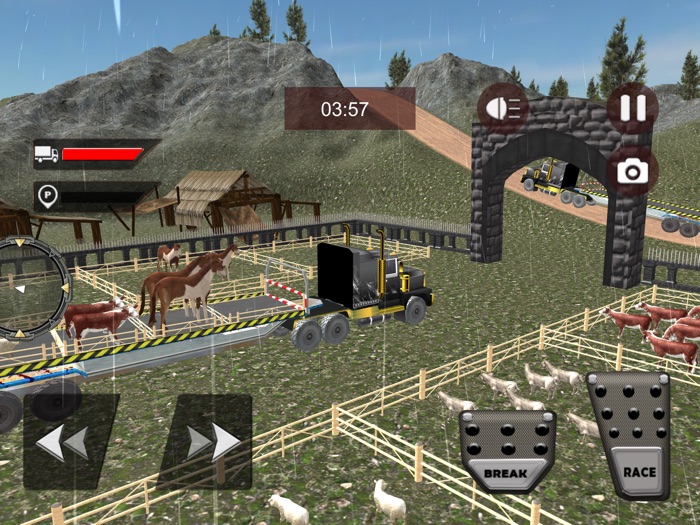 Animal Transporting Truck 2018