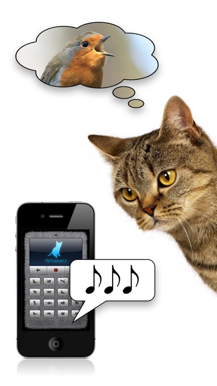Human-to-Cat Translator Deluxe