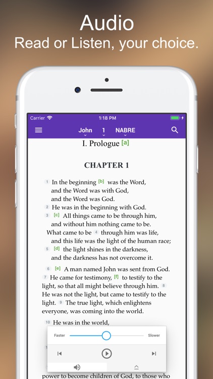 Catholic Bible screenshot-3