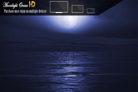 Moonlight Ocean HD screenshot 2