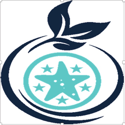 Starfish Mint Icon